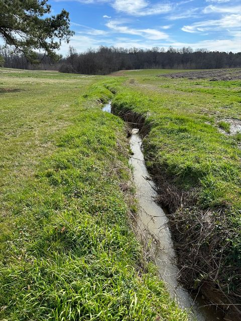 Eroded drainage ditch running through open pasture at Bandit Farms before restoration