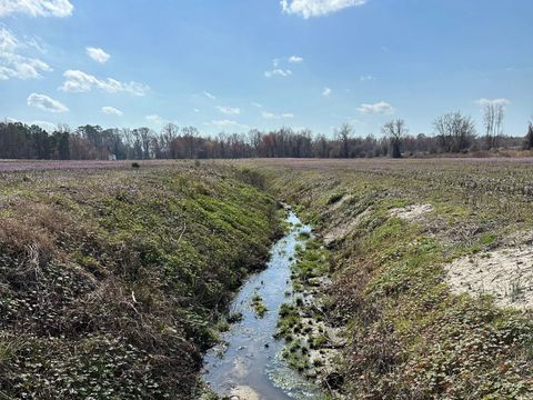 An agricultural drainage ditch running between cropland fields at the Green Heron site before restoration, with purple henbit blooming