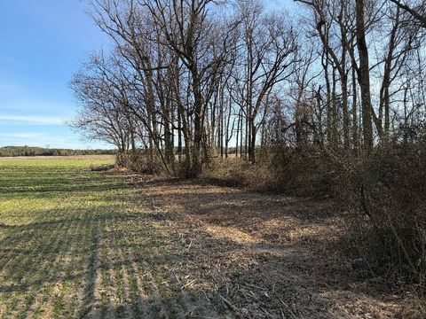 Winter farm field meeting a strip of bare hardwoods along a stream at the Heritage site in Wayne County, NC
