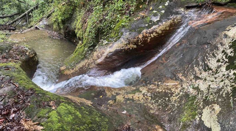 A mountain stream cascading over moss-covered bedrock