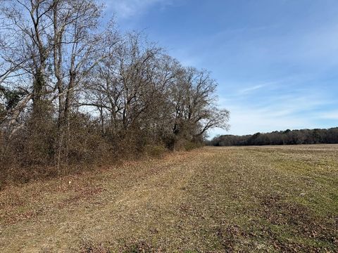 Harvested crop field beside a narrow strip of bare winter hardwoods along the river at the Jacks Bluff site near Goldsboro, NC
