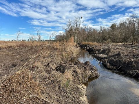 A tributary of Horse Branch flowing through cleared former cropland at the Sand Hill site in winter, before planting