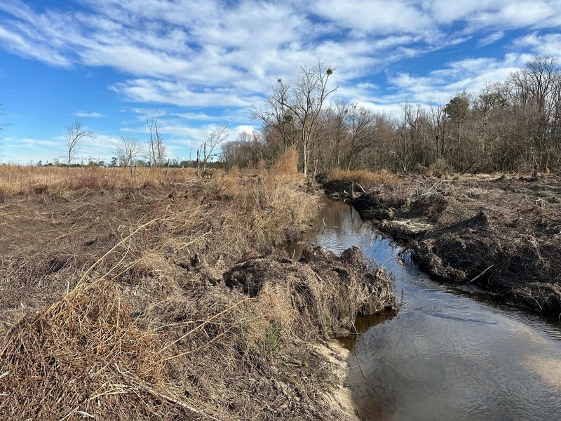 A tributary of Horse Branch flowing through cleared former cropland at the Sand Hill site in winter, before planting