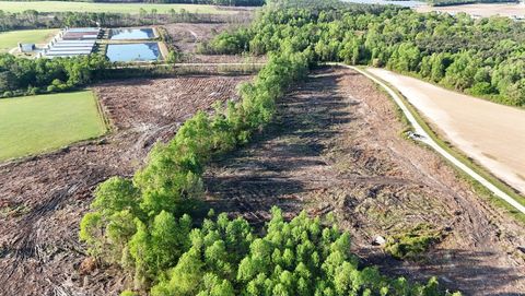 Aerial view of the Edwards Branch site showing a recently cut timber tract, a forested stream corridor, and surrounding farmland near Grantham, NC