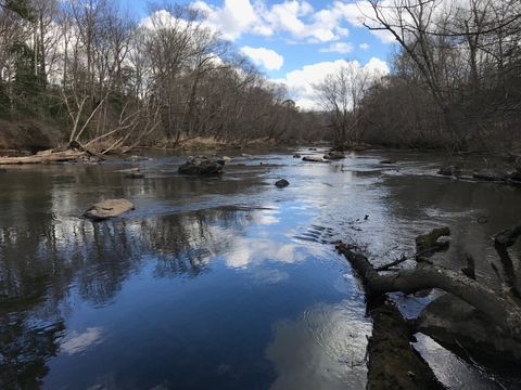 A wide rocky Piedmont river with cloud reflections and bare winter hardwoods along the banks