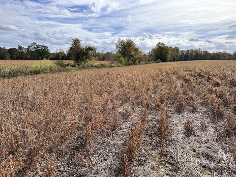 Harvested soybean field with a distant tree line under a cloudy sky, typical cropland before riparian restoration