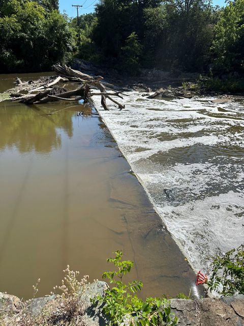 Water spilling over the crest of the Ossipee Mill Dam on Reedy Fork, with woody debris caught on the dam